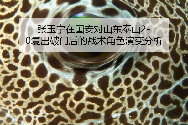 张玉宁在国安对山东泰山2-0复出破门后的战术角色演变分析
